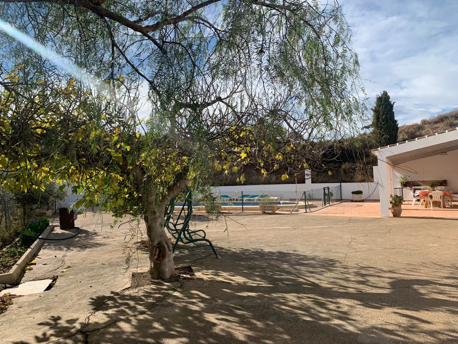 Patio de la casa con un árbol grande, el porche techado y la piscina